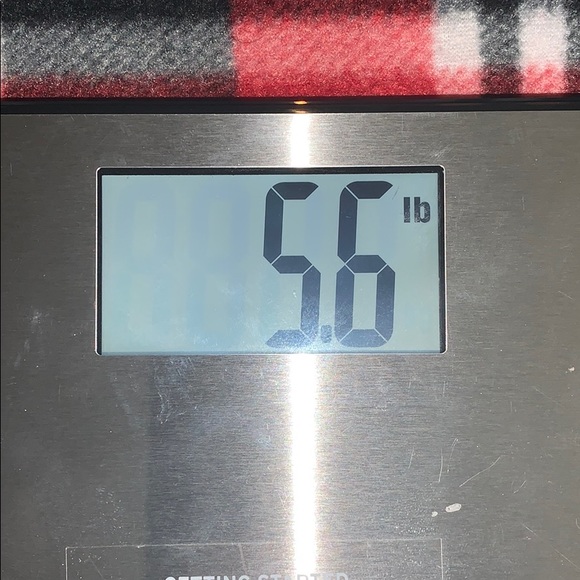 Etekcity Electric Step on Scale - Picture 5 of 7